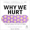 Why We Hurt: The ...