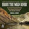 Brave the Wild Ri...