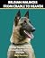 Belgian Malinois From Cradl...