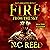 Fire from the sky: Firestorm: Fire from the Sky, Book 4