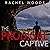 The Prodigal Captive: A Palmchat Islands Mystery, Book 3