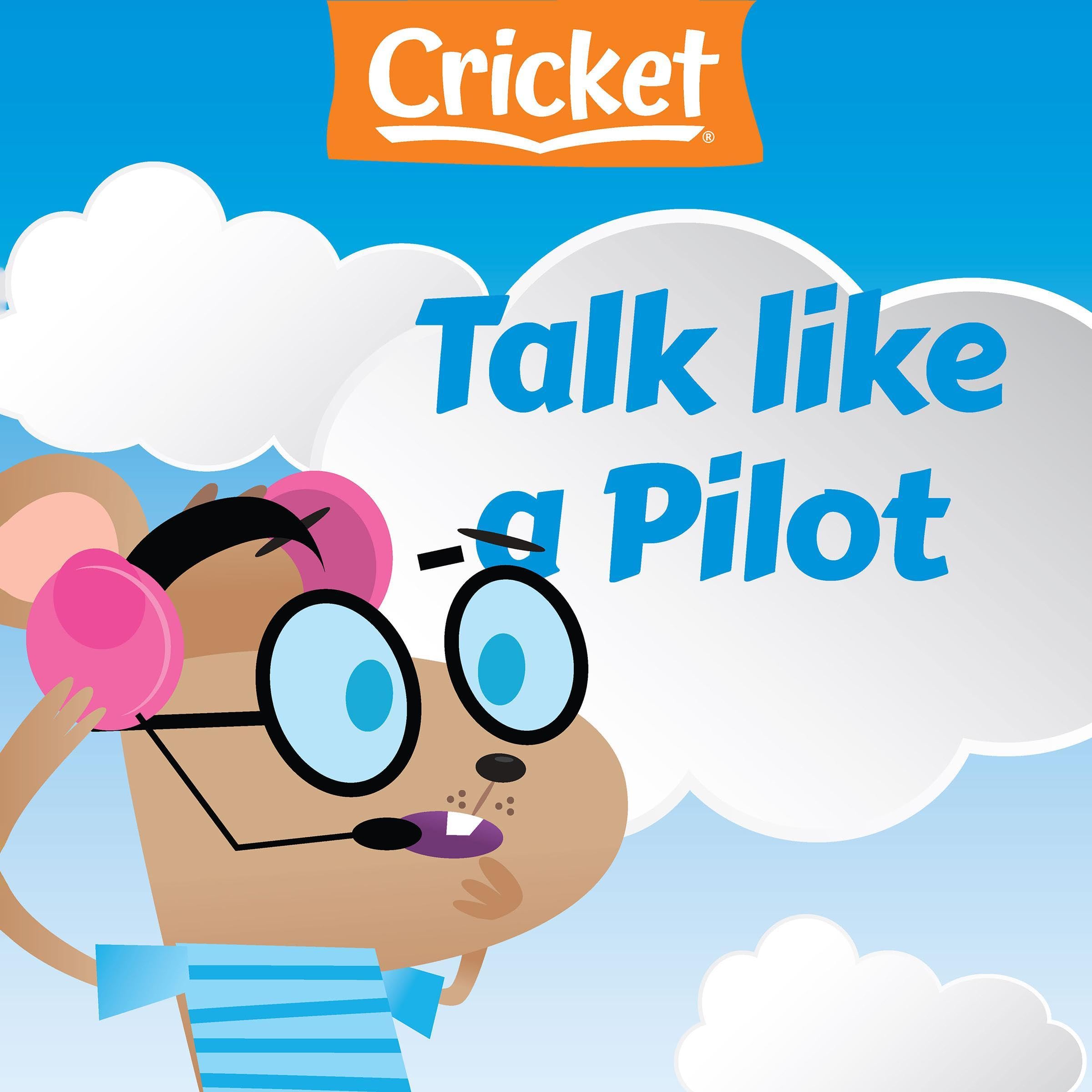 Talk Like a Pilot (Audible Audio)