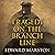 Tragedy on the Branch Line: The Railway Detective, Book 19