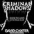Criminal Shadows: Inside the Mind of the Serial Killer