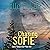 Chasing Sofie: Endless Mountain Series, Book 3