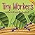 Tiny Workers: Ants in Your Backyard (Backyard Bugs)