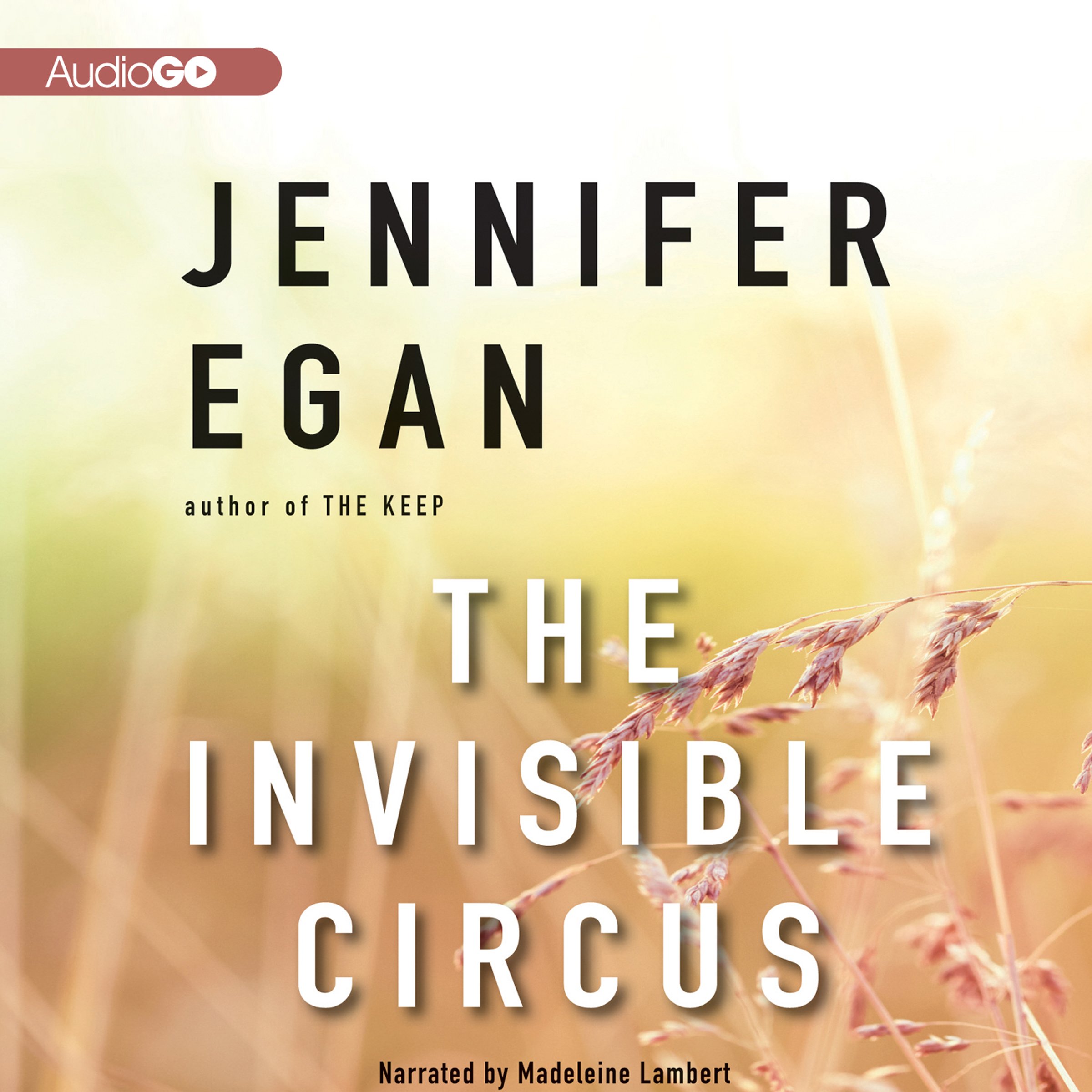 The Invisible Circus