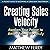 Creating Sales Velocity: Awaken Your Power to Attract Sales Effortlessly