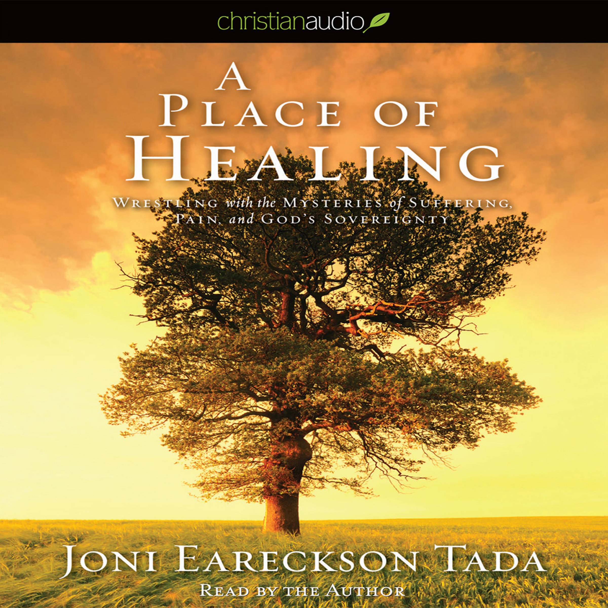 A Place of Healing: Wrestling with the Mysteries of Suffering, Pain, and God's Sovereignty
