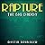 Rapture: The Big Daddy