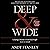 Deep & Wide: Creating Churches Unchurched People Love to Attend