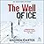 The Well of Ice: Inishowen Mystery Series, Book 3