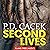 Second Lives: Fiction Without Frontiers