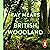 British Woodland: How to Explore the Secret World of Our Forests