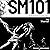 SM 101: A Realistic Introduction