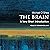 The Brain: A Very Short Introduction
