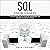 SQL for Beginners: A Step by Step Guide to Learn SQL Programming and Database Management Systems