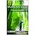 Walking into Solace: Finding Peace and Harmony in the Heart of Nature