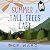 Summer at Tall Trees Lake (...