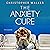 The Anxiety Cure: The Anxiety relief pocket handbook