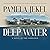Deepwater: A Novel of the Carolinas