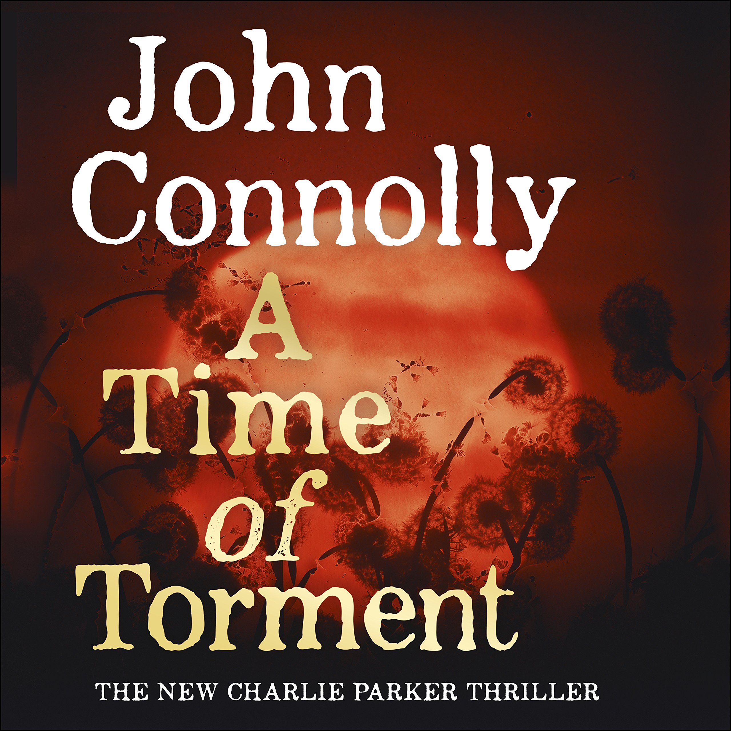 A Time of Torment: A Charlie Parker Thriller, Book 14