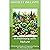 In Harmony with Nature: The Essential Guide to Companion Planting for a Flourishing Garden