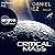Critical Mass (German edition): Ein Delta-v-Thriller 2