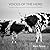 Voices of the Herd: Portraits of Rescued Cows and Their Sanctuary Stories