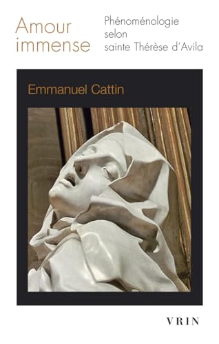 Amour Immense: Phenomenologie Selon Sainte Therese d'Avila (French Edition)