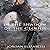 In the Shadow of the Clouds: Return to Amston, Book 4