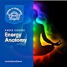 Energy Anatomy