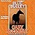 Blue Bullet: The Horsemen, Book 4