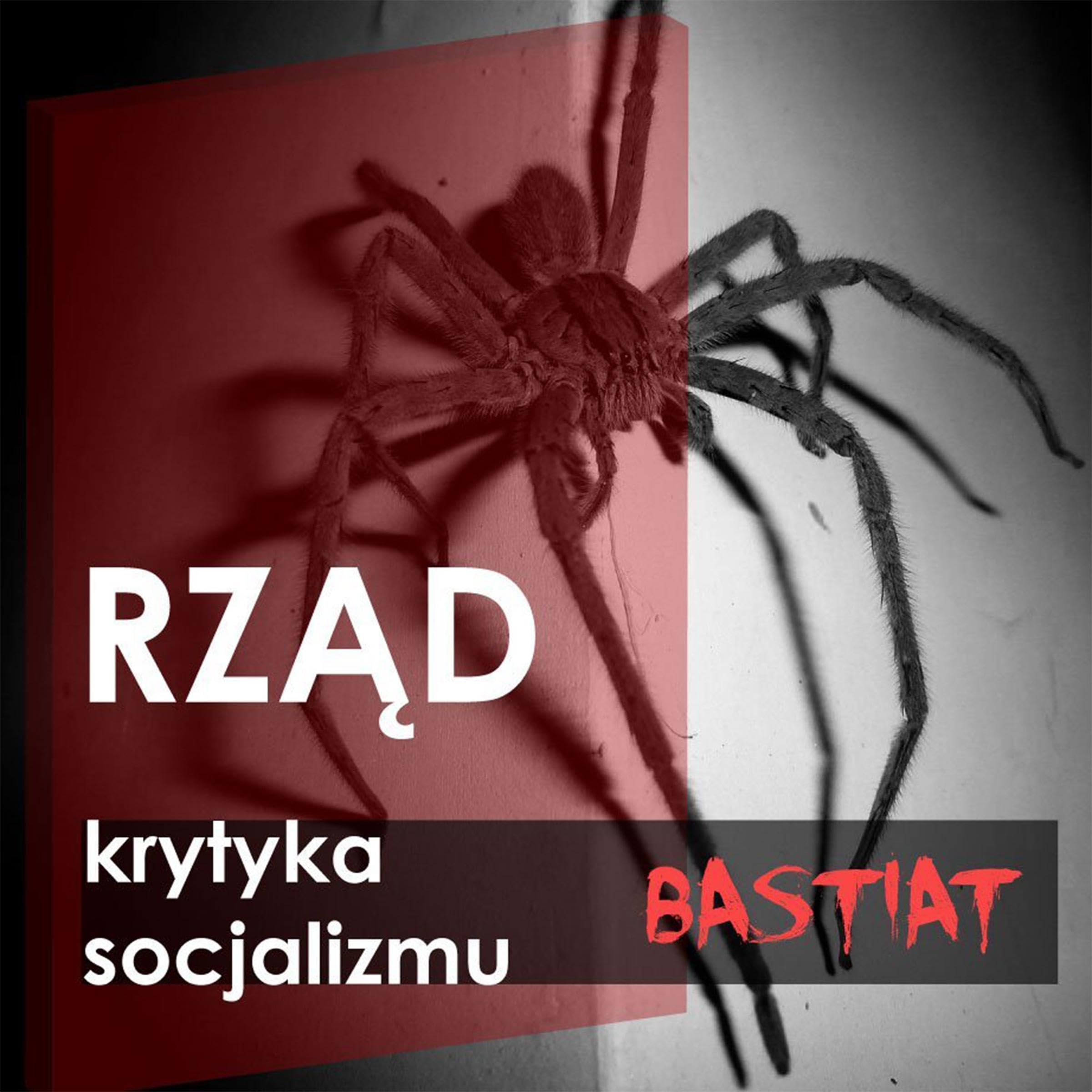Rząd (Audible Audio)