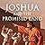 Joshua and the Promised Land: Entering the Fullness of our Inheritance in Christ