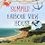 Summer at Harbour View Hous...