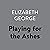 Playing for the Ashes: Inspector Lynley, Book 7