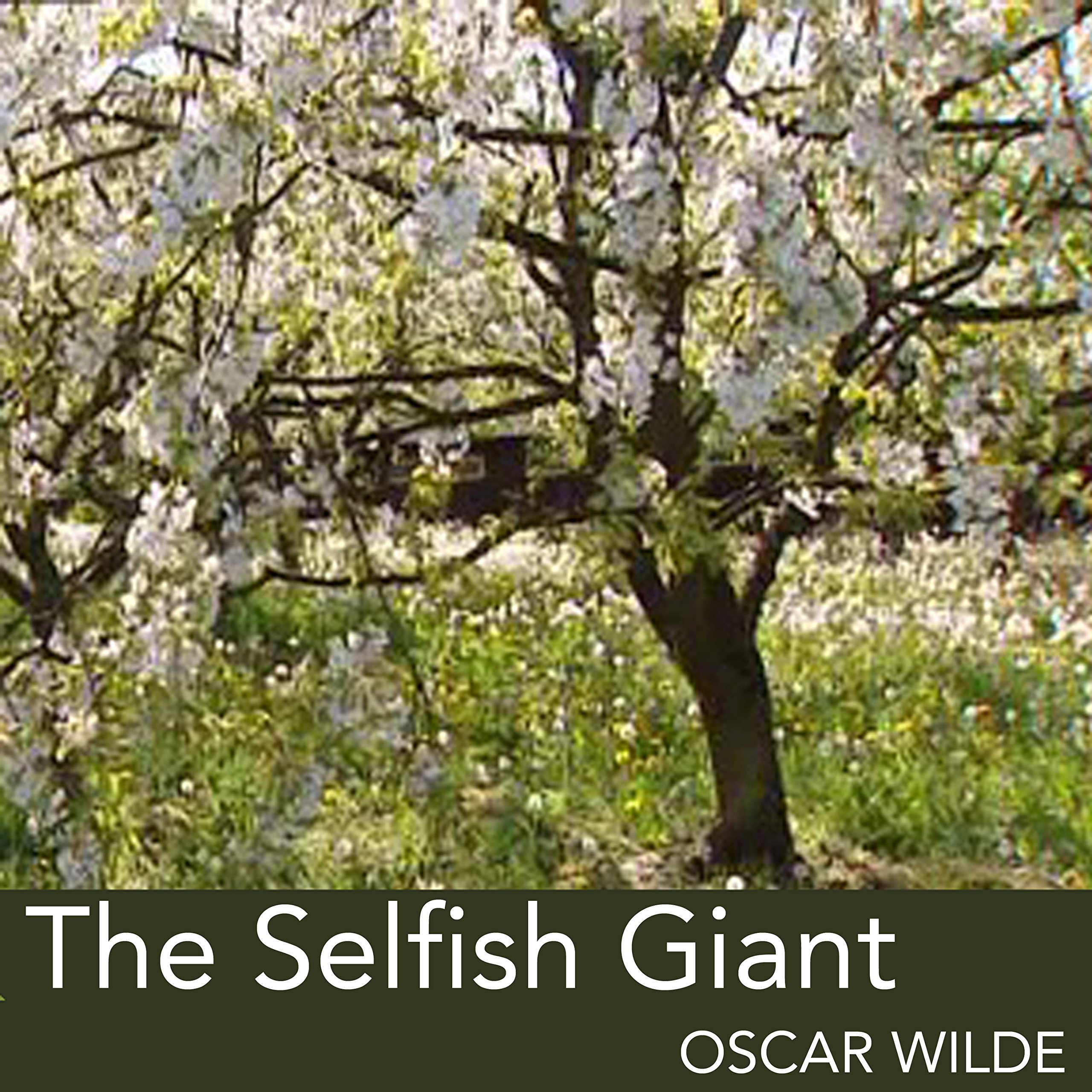 The Selfish Giant