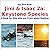 Jimi & Isaac 2a: Keystone Species (Jimi & Isaac Books)