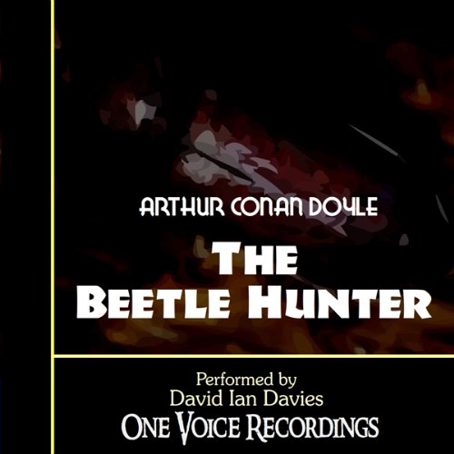 The Beetle Hunter