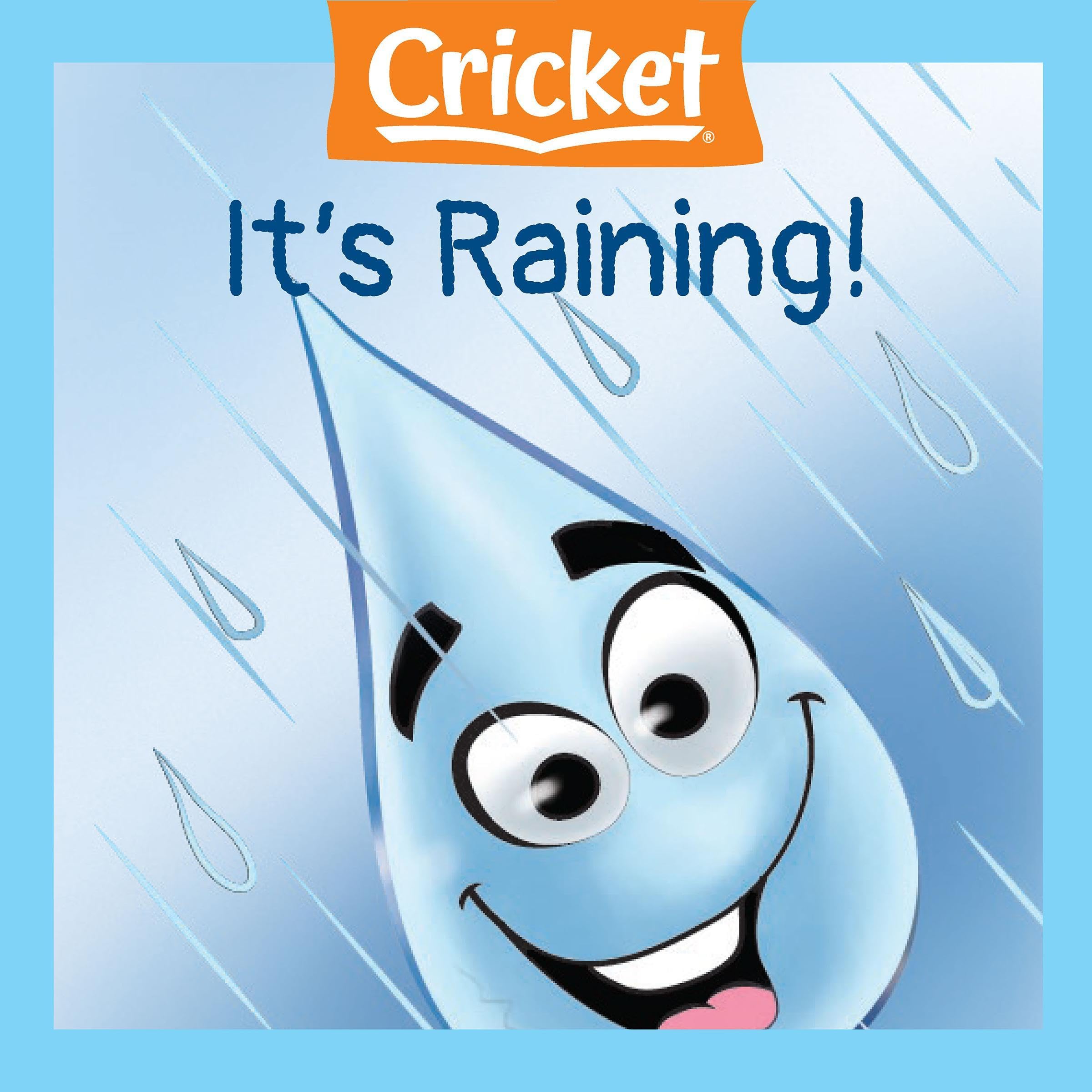 It's Raining! (Audible Audio)