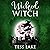 Wicked Witch: Torrent Witches Cozy Mysteries, Book 10