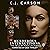 Murderous Interruptions: The Veils of Parallel Times, Book 2
