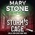 Storm's Cage: Amelia Storm FBI Mystery, Book 3