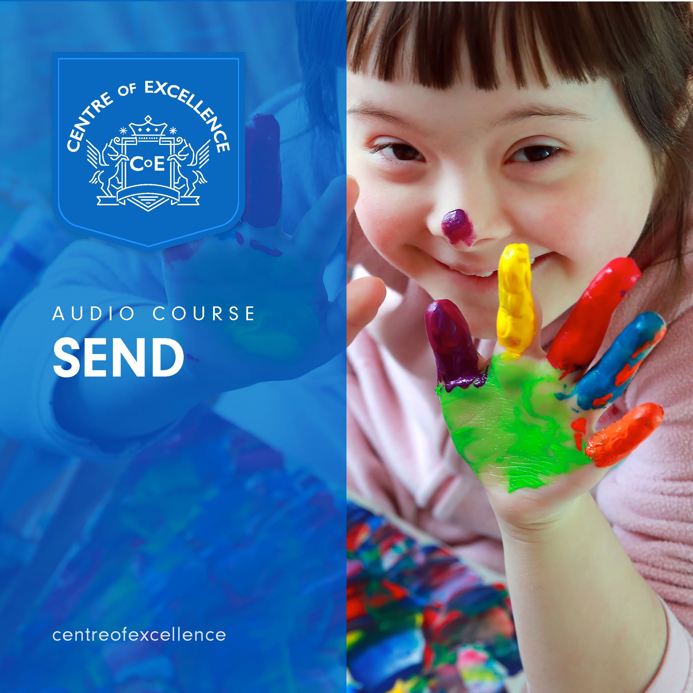 Special Educational Needs and Disability (Audible Audio)