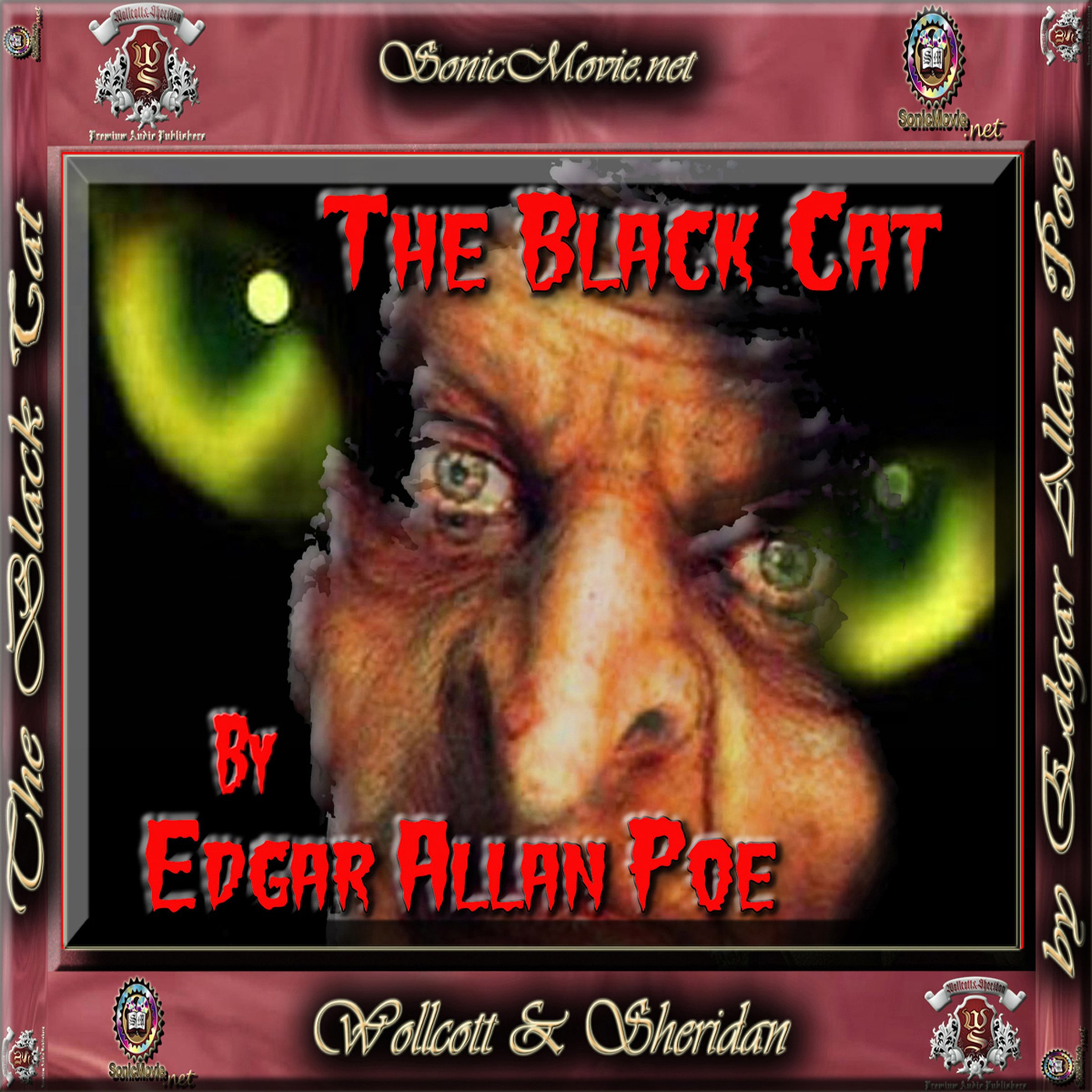 The Black Cat