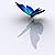 First-Class fliegen zum Eco...