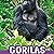 Gorillas: Animals