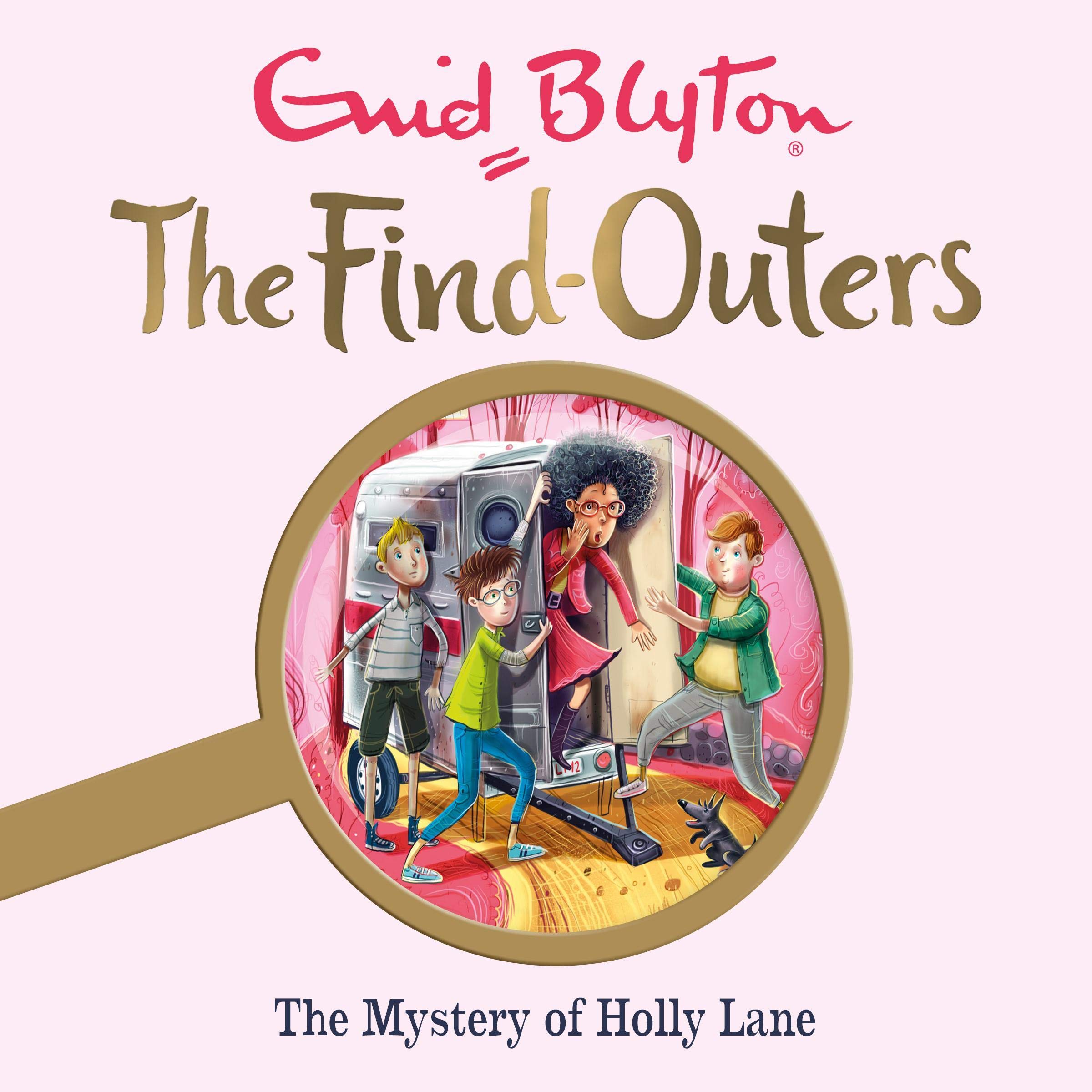 The Mystery Series: The Mystery of Holly Lane: Book 11