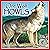 One Wolf Howls